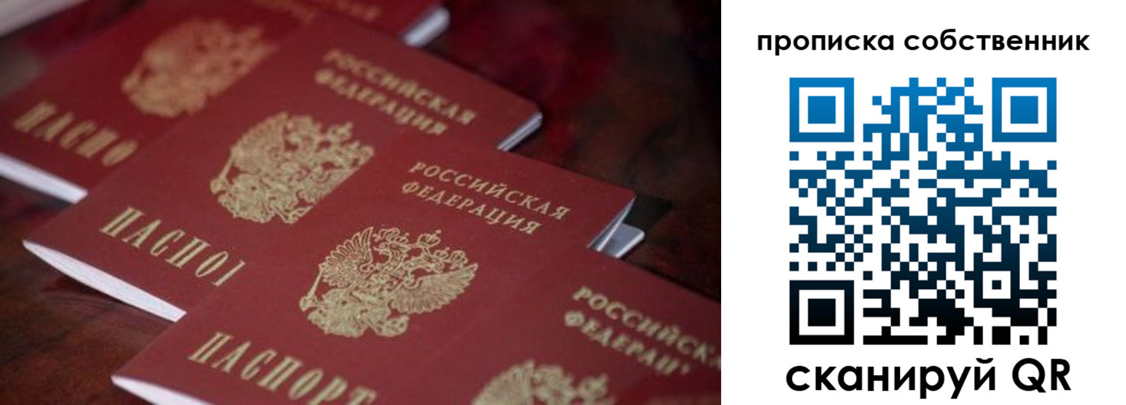 купить прописку в Светлогорске